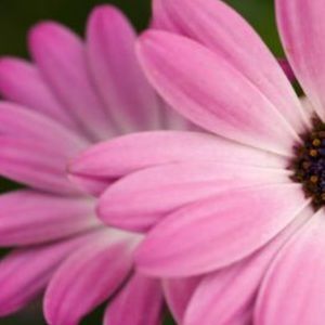 Meet your Posher, Christena